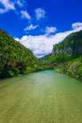 The Pororari River, Paparoa National Park, Punakaiki, New Zealand Art Print